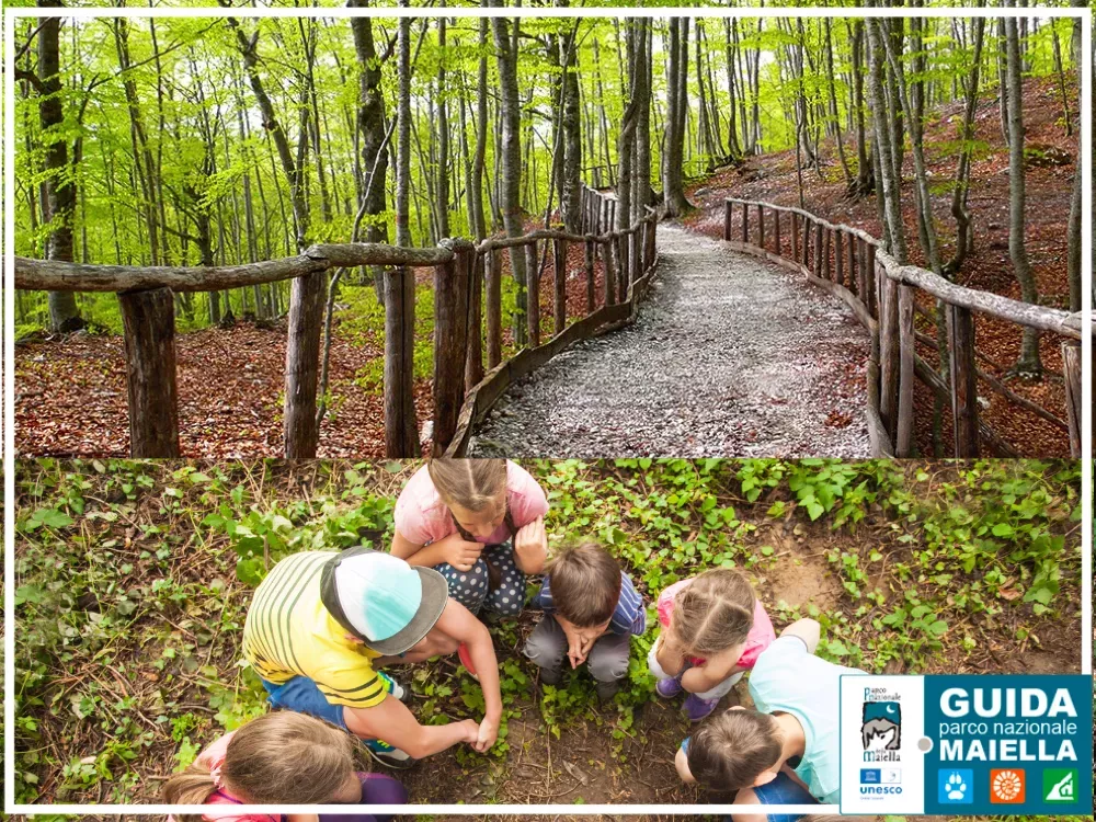 IL BOSCO ANCHE PER I BIMBI IN PASSEGGINO