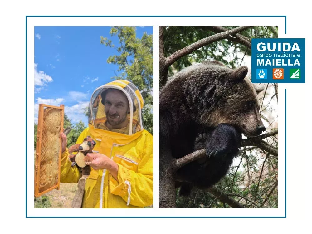 Dolce come il miele, selvaggio come l'orso: dialoghi sulla convivenza