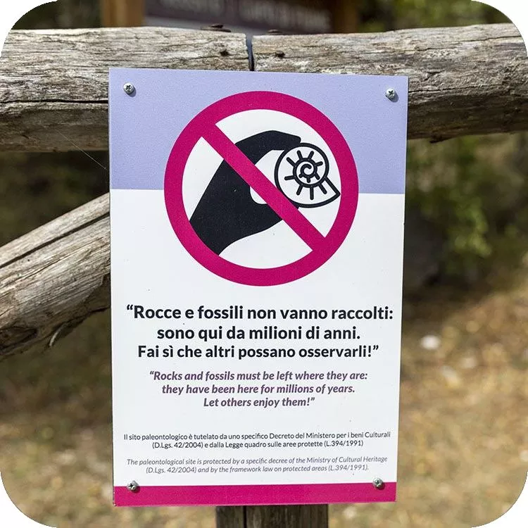 Geosito di Capo di Fiume