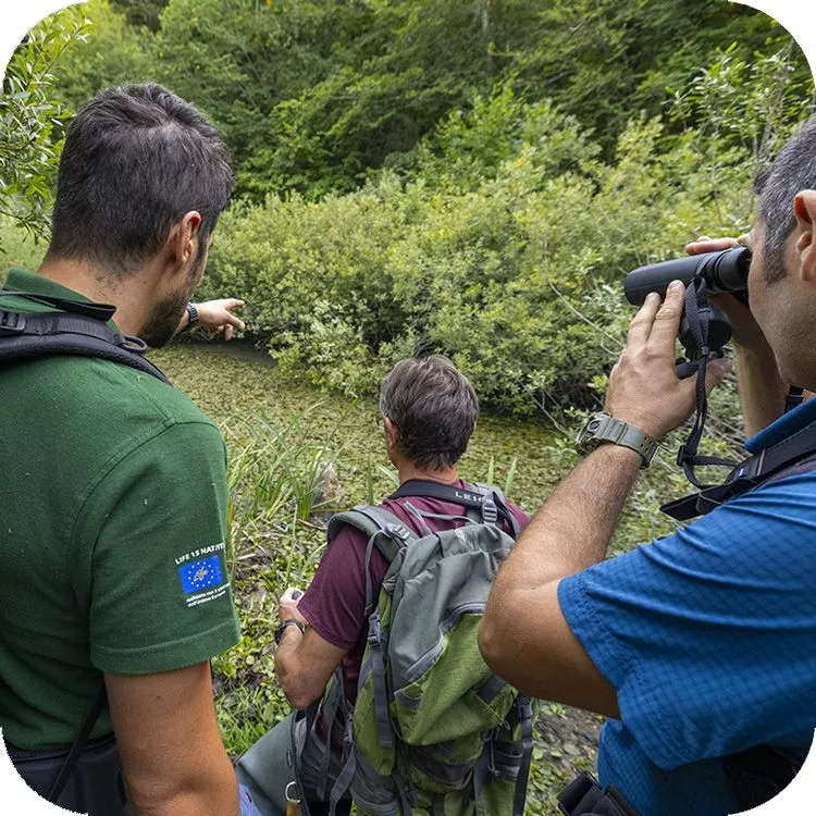 Momenti delle operazioni di restocking dell'erba-vescica nel Lago Battista
