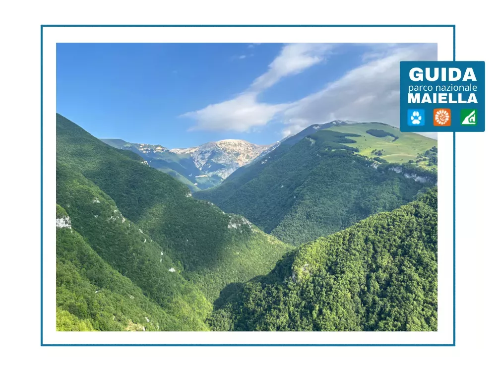 Affaccio panoramico dal sentiero sulla Valle dell'Orfento