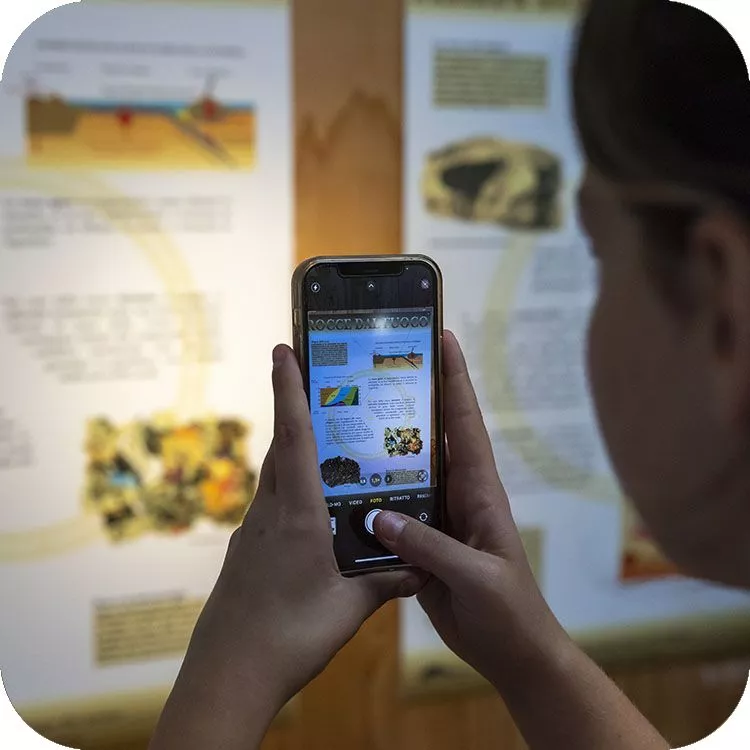 Dettaglio della visita