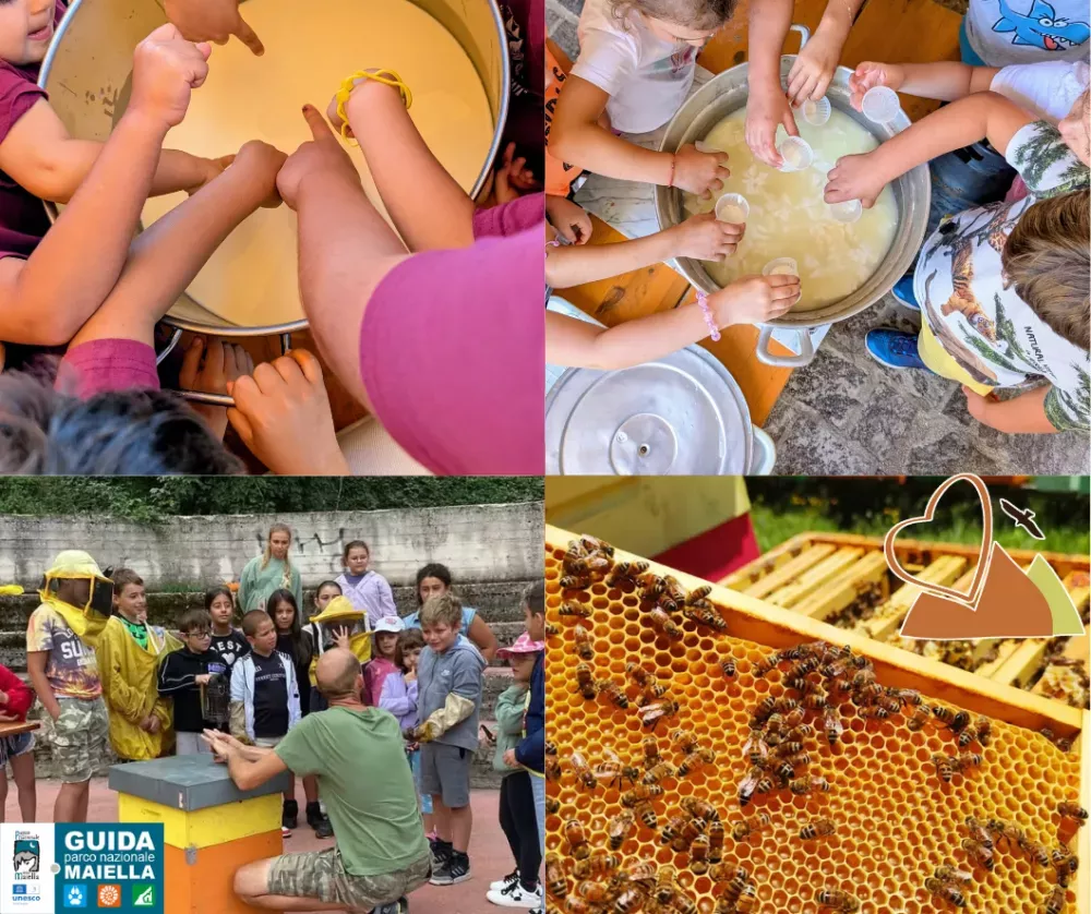 formaggio laboratorio di caseificazione giorno da pastore parco maiella cheese making agriturismo