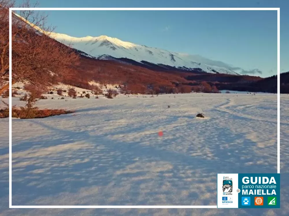 Ciaspolata a Valle Messere. 