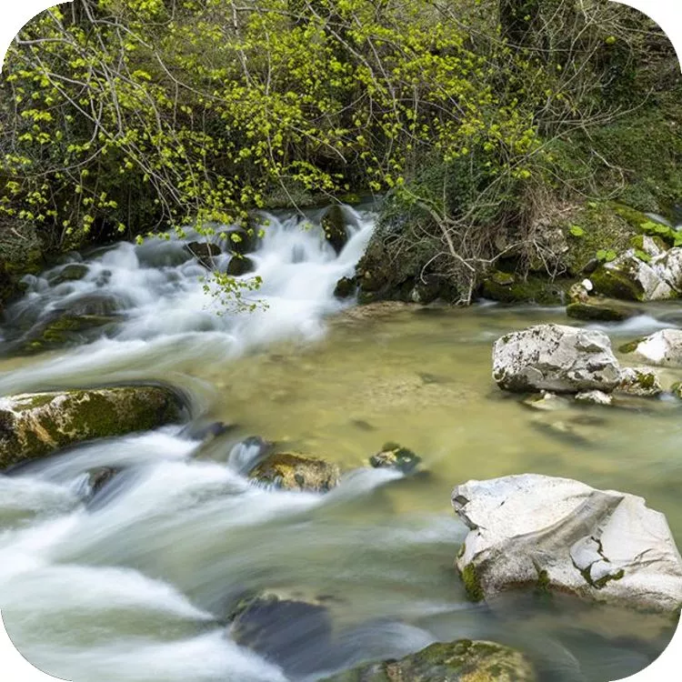 Immagine primaverile delle copiose acque del fiume Aventino, poco a valle delle sorgenti di Capo di Fiume
